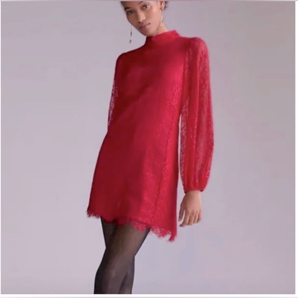 Mauve Dresses & Skirts - Anthropologie Delicate Lace Min Dress